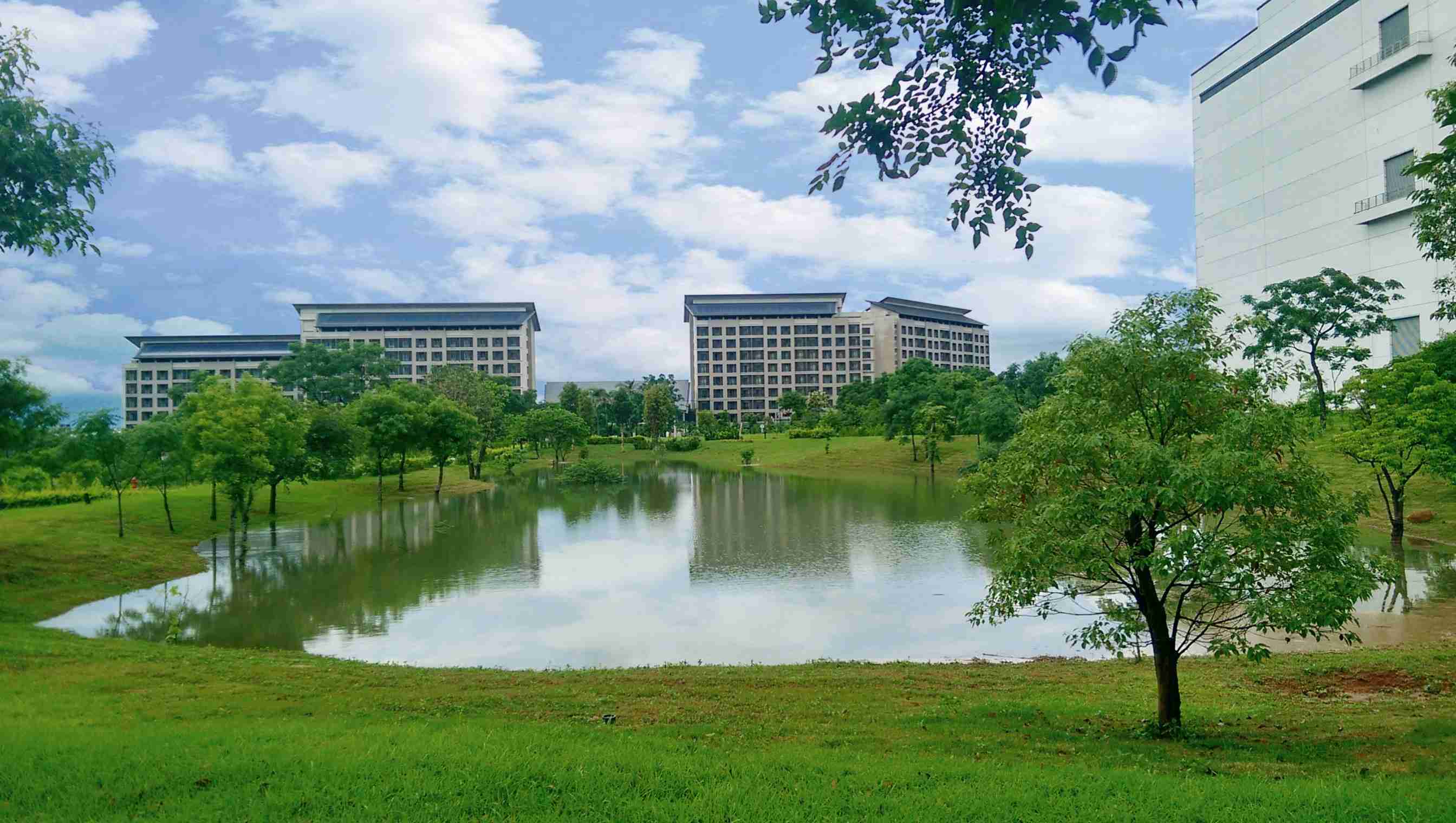 彩神vll响应国际倡议生物多样性趋势，，，，首次发布TNFD自然相关财务揭露报告书，，，，擘划及开展彩神vll生物多样性政策之承诺，，，，逐步迈向与自然和谐共生